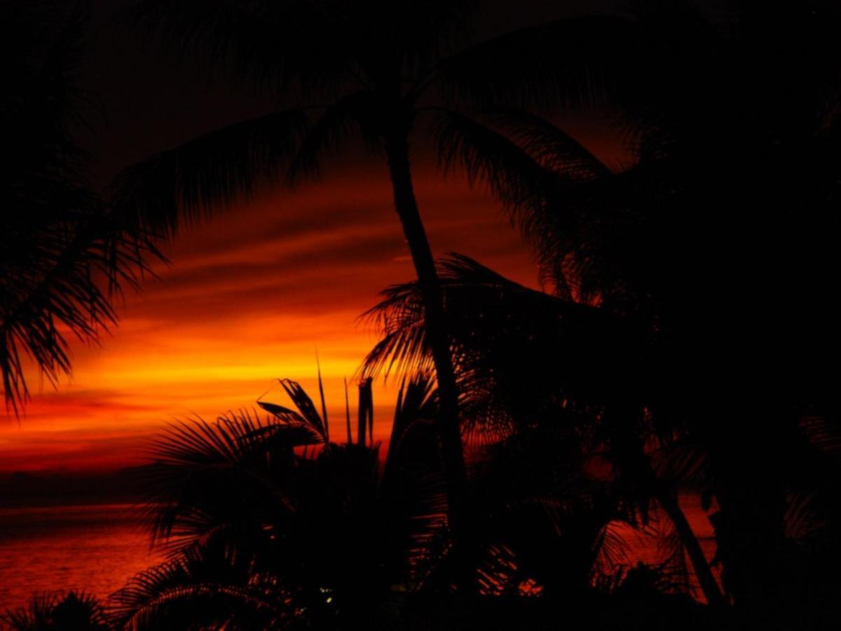 Sibaja Palms Sunset Beach Luxury Villa Taling Ngam Beach Exteriér fotografie